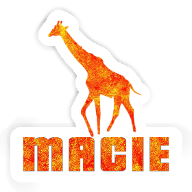 Aufkleber Giraffe Macie Image