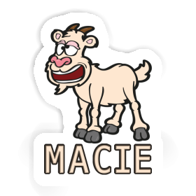 Macie Autocollant Chèvre Image