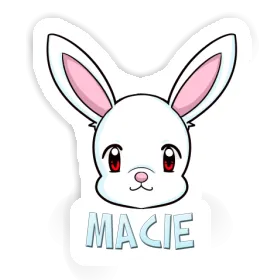 Sticker Macie Hase Image