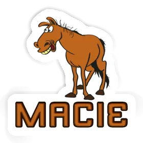 Autocollant Macie Cheval Image
