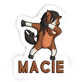 Autocollant Cheval Macie Image