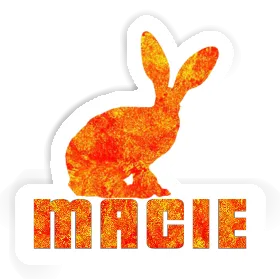 Aufkleber Hase Macie Image