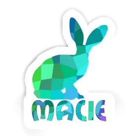 Aufkleber Hase Macie Image