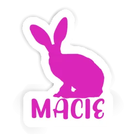 Sticker Kaninchen Macie Image
