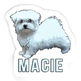 Sticker Macie Doggie Image