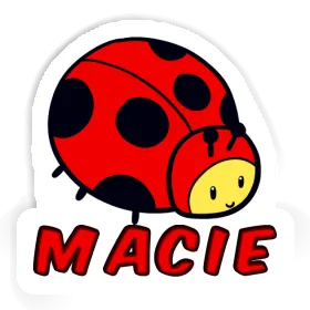 Marienkäfer Sticker Macie Image