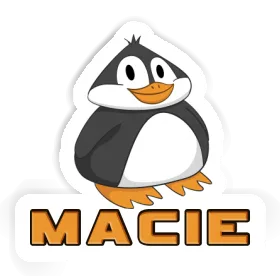 Autocollant Pingouin Macie Image