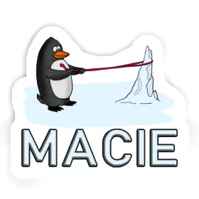 Sticker Penguin Macie Image