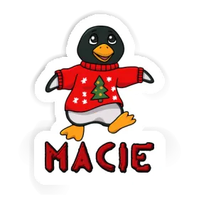 Pinguin Aufkleber Macie Image