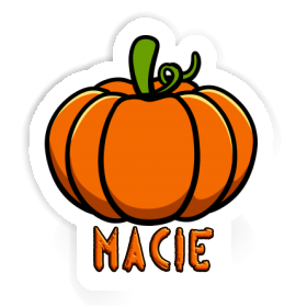Courge Autocollant Macie Image