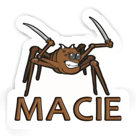 Sticker Macie Kampfspinne Image