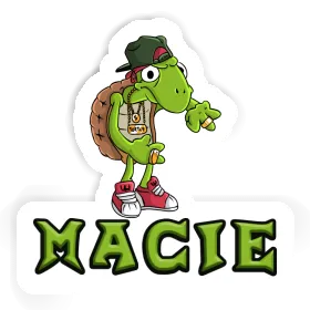 Macie Aufkleber Schildkröte Image