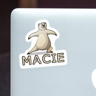 Sticker Macie Yoga Bear Laptop Sticker Macie Yoga Bear Laptop Image