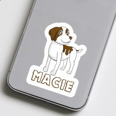 Macie Sticker Brittany Spaniel Gift package Image