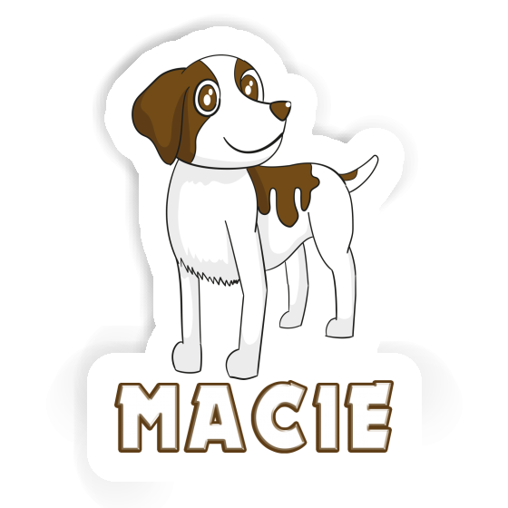 Macie Sticker Brittany Spaniel Laptop Image