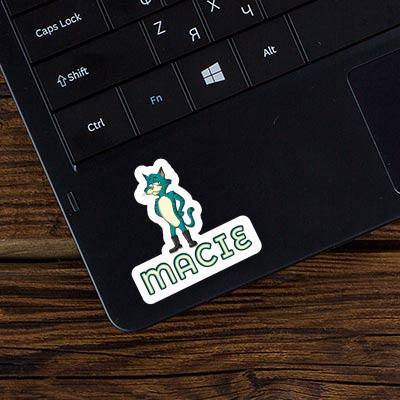 Standing Cat Sticker Macie Gift package Image