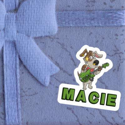Sticker Macie Gitarrist Sticker Macie Gitarrist Image