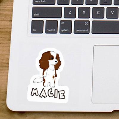 Autocollant Cavalier King Charles Spaniel Macie Autocollant Cavalier King Charles Spaniel Macie Image
