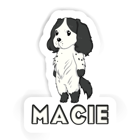 Sticker Macie English Cocker Spaniel Laptop Sticker Macie English Cocker Spaniel Laptop Image