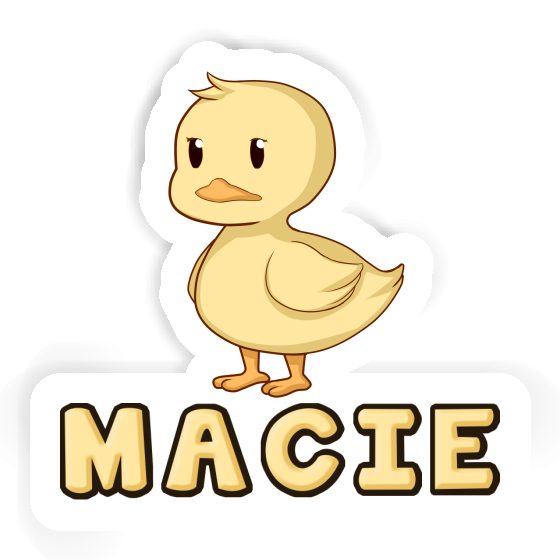 Duck Sticker Macie Laptop Duck Sticker Macie Laptop Image