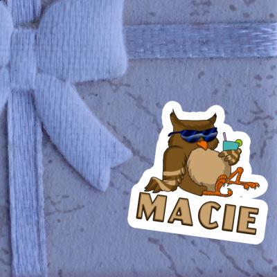 Sticker Macie Cool Owl Gift package Image