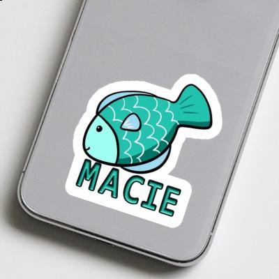 Macie Autocollant Poisson Notebook Macie Autocollant Poisson Gift package Image