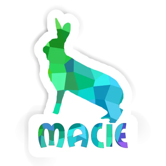 Rabbit Sticker Macie Laptop Rabbit Sticker Macie Laptop Image