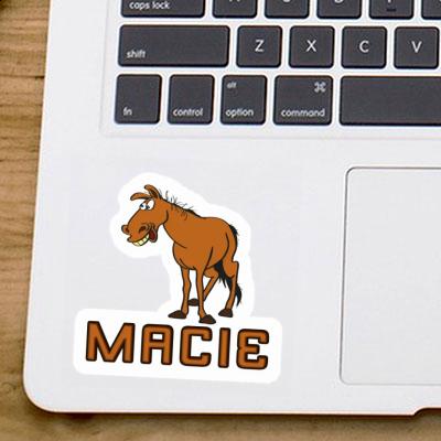 Macie Aufkleber Pferd Notebook Macie Aufkleber Pferd Gift package Image