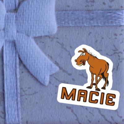Macie Aufkleber Pferd Laptop Macie Aufkleber Pferd Laptop Image