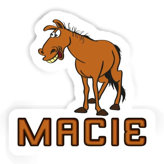 Macie Aufkleber Pferd Notebook Macie Aufkleber Pferd Gift package Image