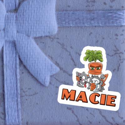 Macie Autocollant Carotte monstre Laptop Macie Autocollant Carotte monstre Laptop Image