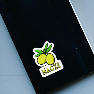 Sticker Olive Macie Notebook Sticker Olive Macie Gift package Image