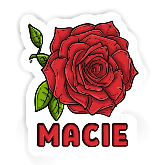 Aufkleber Rose Macie Gift package Image