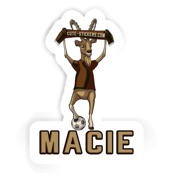 Macie Sticker Capricorn Notebook Macie Sticker Capricorn Gift package Image