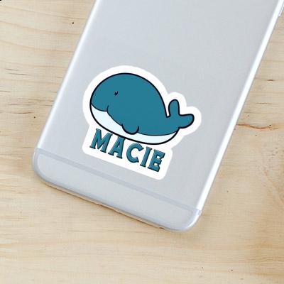 Sticker Macie Whale Fish Notebook Sticker Macie Whale Fish Gift package Image