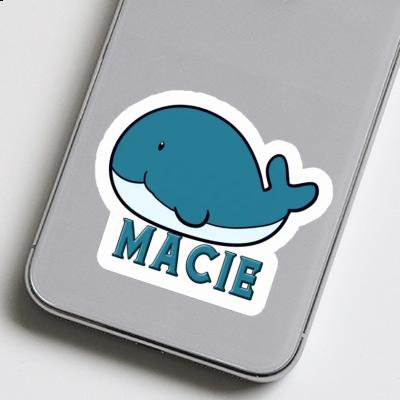Autocollant Baleine Macie Image