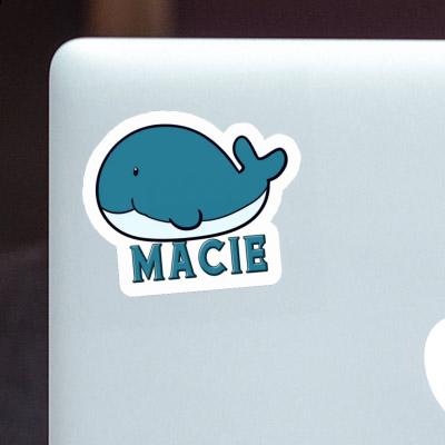 Autocollant Baleine Macie Gift package Image