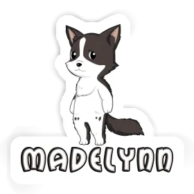 Border Collie Sticker Madelynn Image