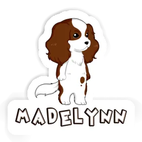 Cavalier King Charles Spaniel Sticker Madelynn Image