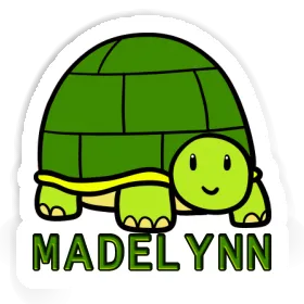 Madelynn Sticker Turtle Image