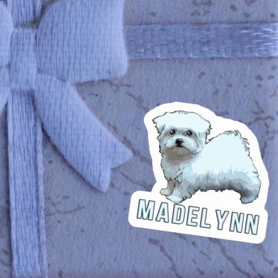 Sticker Maltese Madelynn Notebook Image