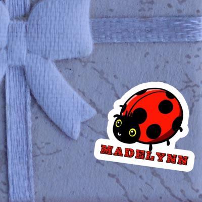 Madelynn Sticker Ladybug Gift package Image