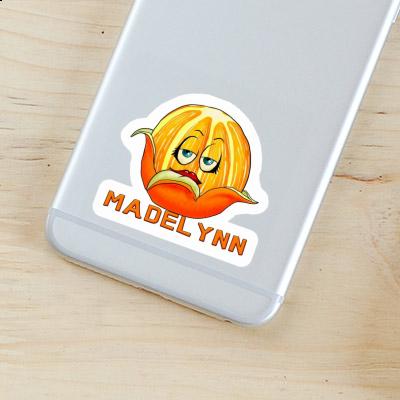 Orange Sticker Madelynn Gift package Image