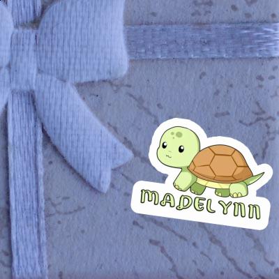 Turtle Sticker Madelynn Notebook Image