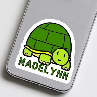 Madelynn Sticker Turtle Gift package Image