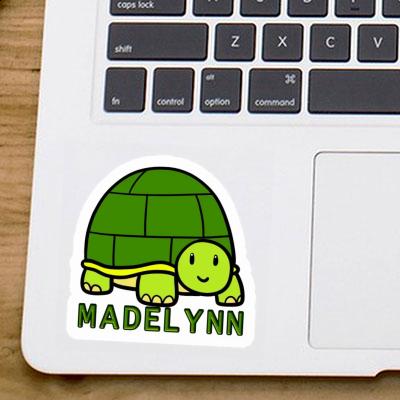 Madelynn Sticker Turtle Gift package Image