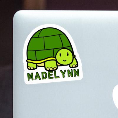 Madelynn Sticker Turtle Gift package Image