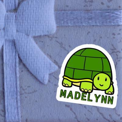 Madelynn Sticker Turtle Image