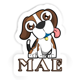 Sticker Mae Beagle Image