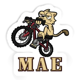 Bicycle Sticker Mae Image